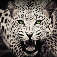 Dominant