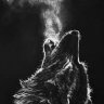 arash_al