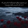 Elahe R