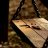 Sheyda_A