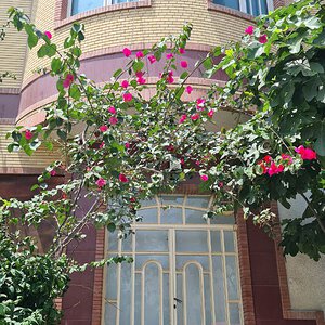 فرزانگان دوره دوم گرگان