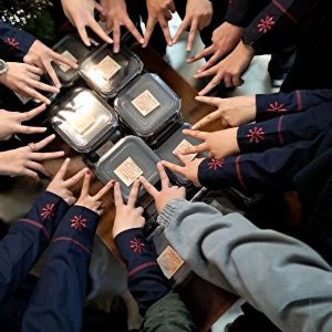 IMG_20251112_124838_326.jpg