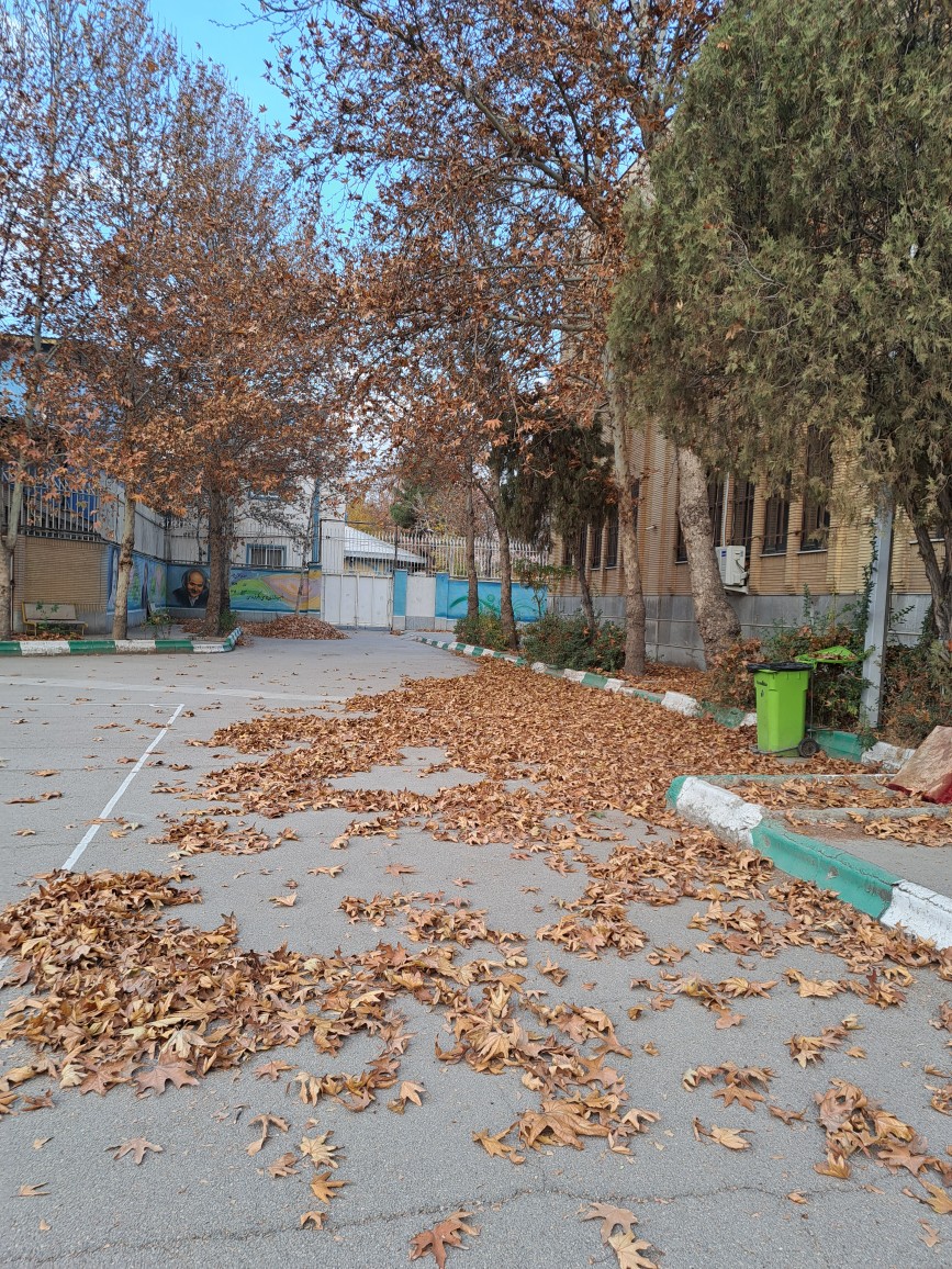 حیاط پشتی هاشمی نژاد1