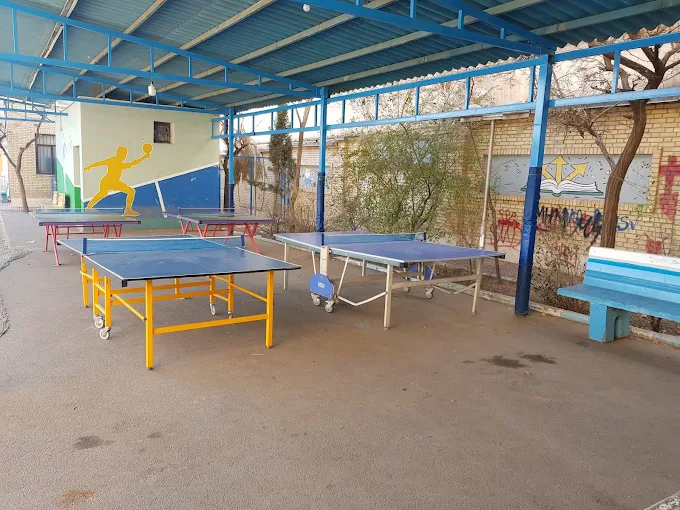 میز پینگ پنگ