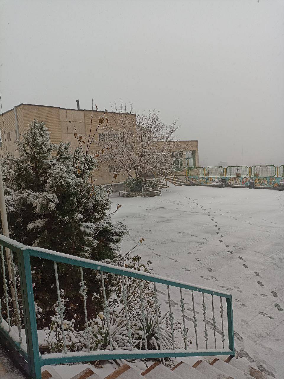 IMG_20241231_141119_492.jpg